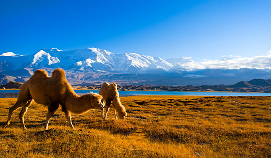 Selbstfahrerreise - Trans-Xinjiang von Khunjerab nach Irkeshtam