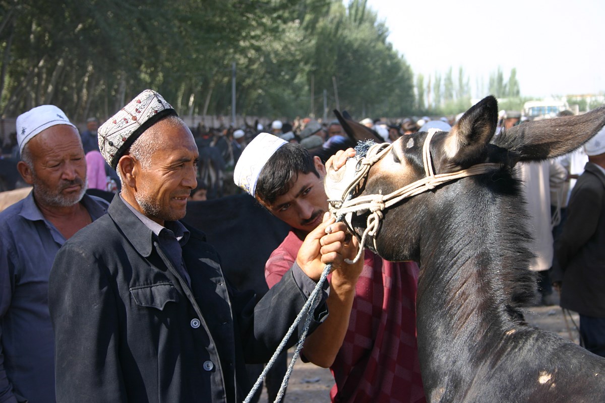 Haustierbasar in Kashgar
