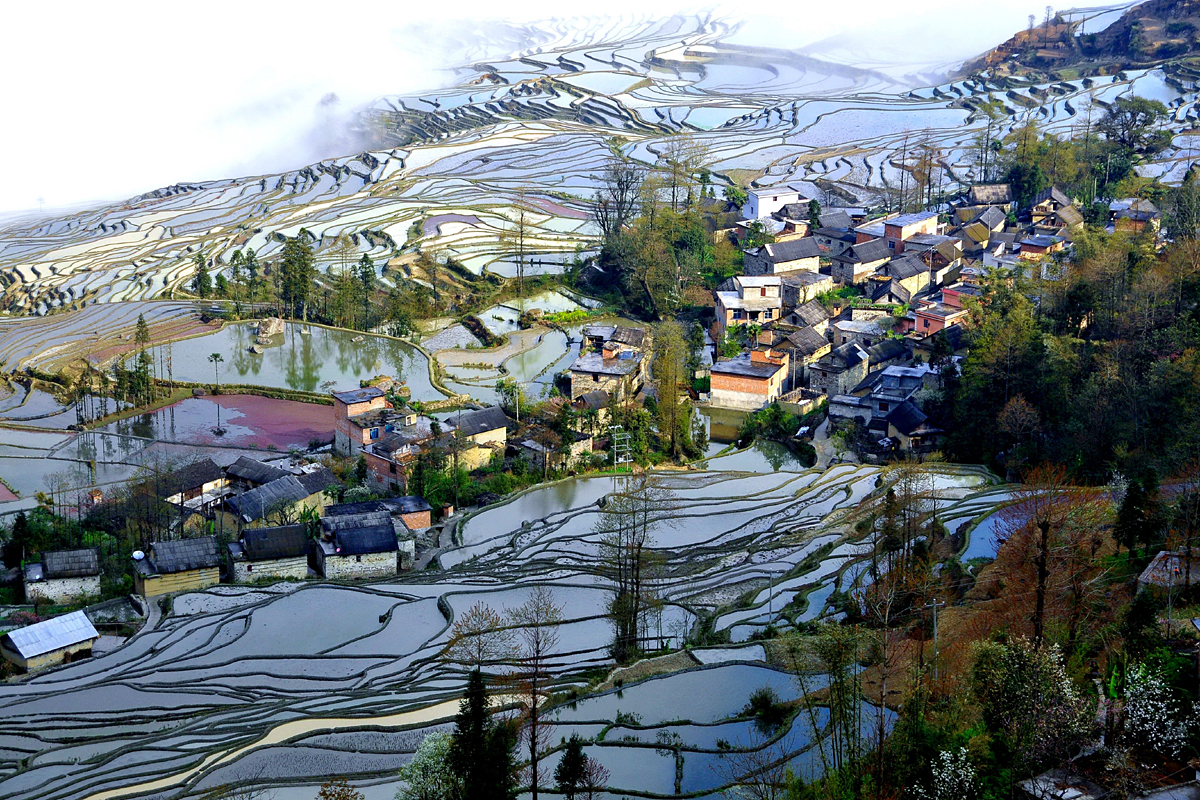 Yuanyang Terrassen