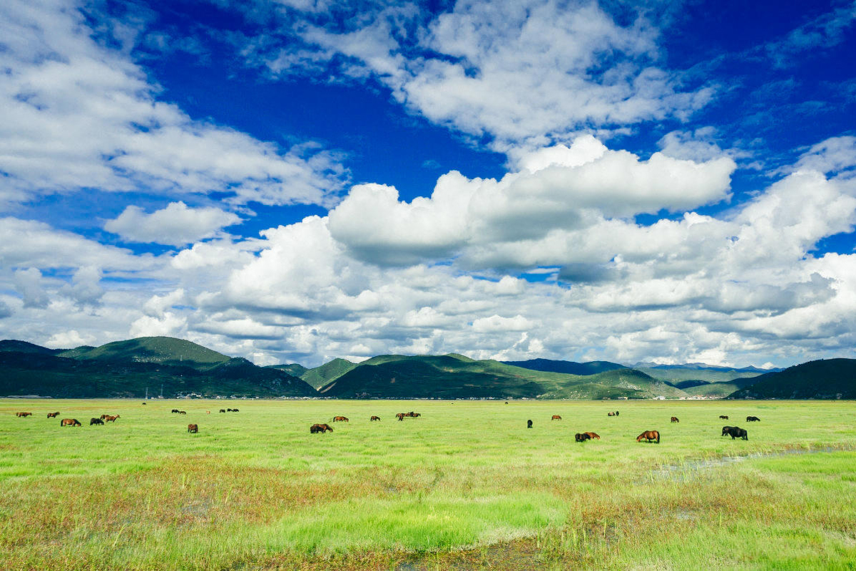 Landschaft in Sahngri-La (vormals Zhongdian)