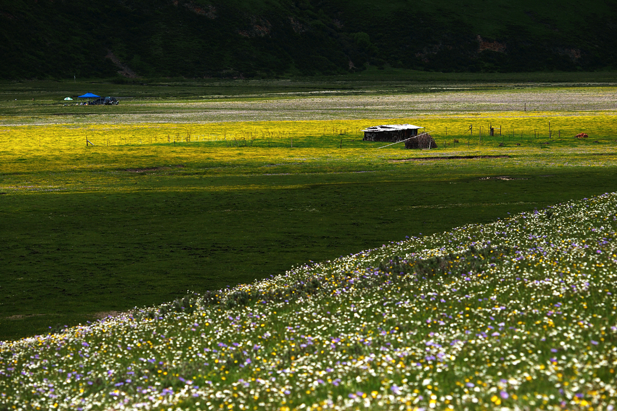 Steppe in Ruoergai