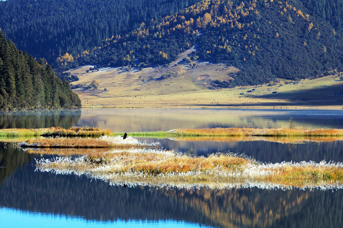 Landschaft in Sahngri-La (vormals Zhongdian)