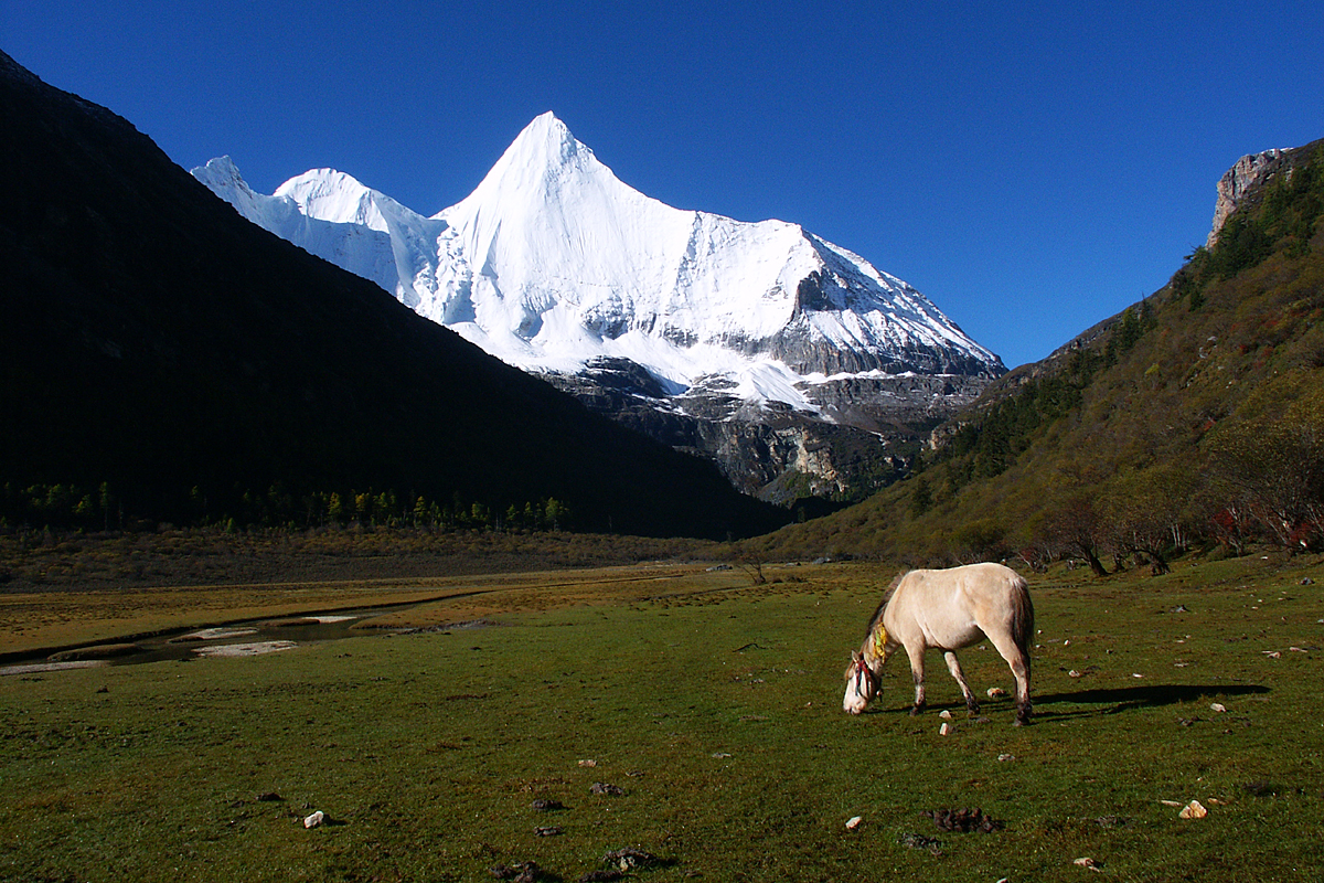 Yangmaiyong Berg in Yading