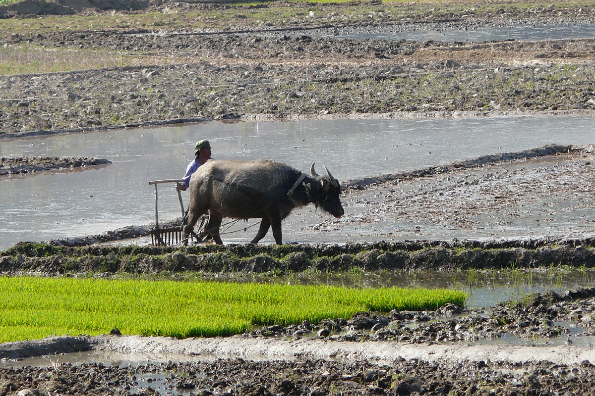 Landschaft in Süd-Yunnan